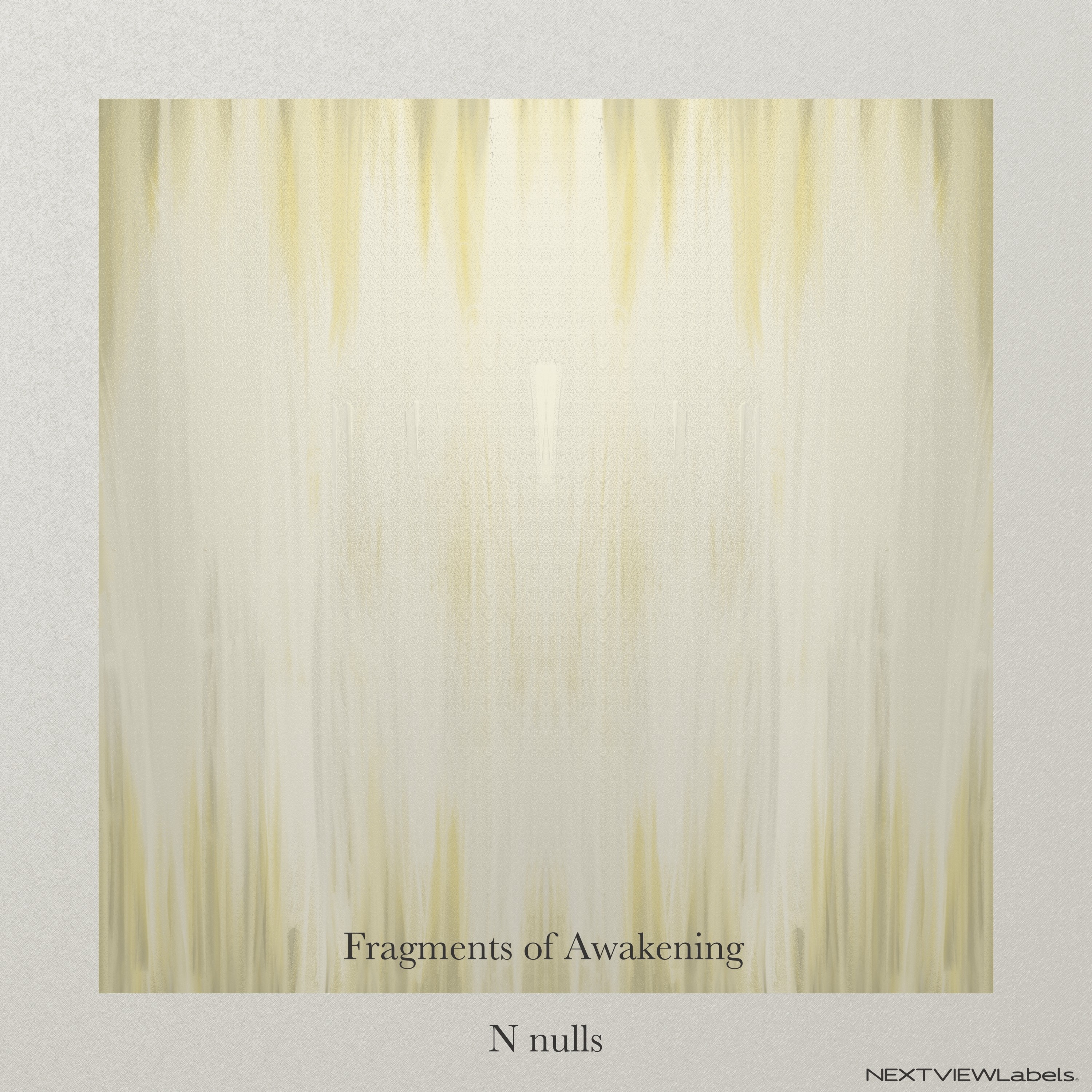Fragments of Awakening