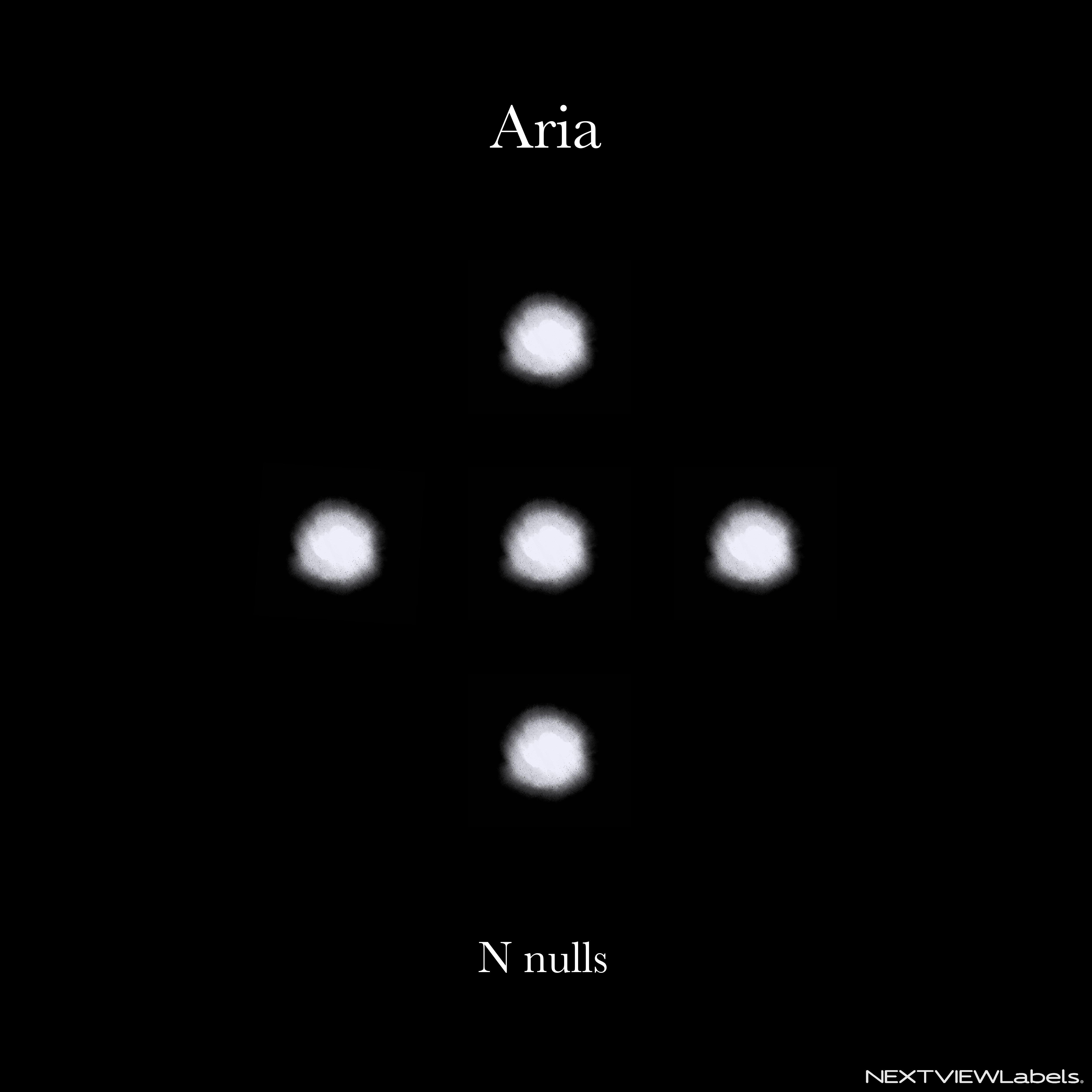 Aria